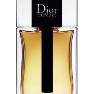 DIOR Homme EDT 100 ml