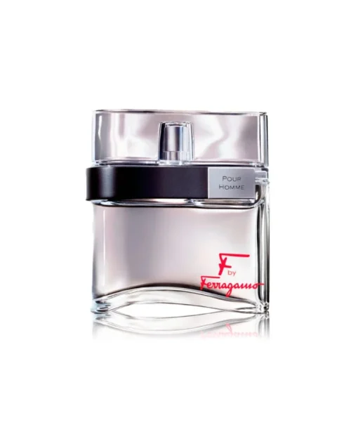 F by Ferragamo Pour Homme