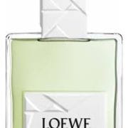 Loewe Solo Origami