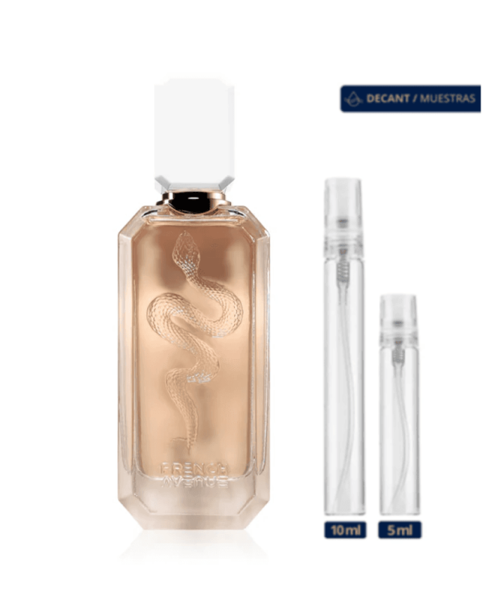 French Avenue Veneno Bianco By Fragance World Decant